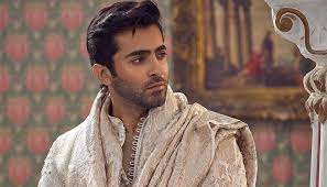 I was told the audience wouldn’t get the story: Sheheryar  on ‘Prince Charming’