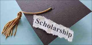 Shafqat Mahmood announces 50,000 HEC scholarships-Social Pakora
