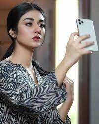 When Sarah Khan struck her director on the set twice, she said: Learn why
