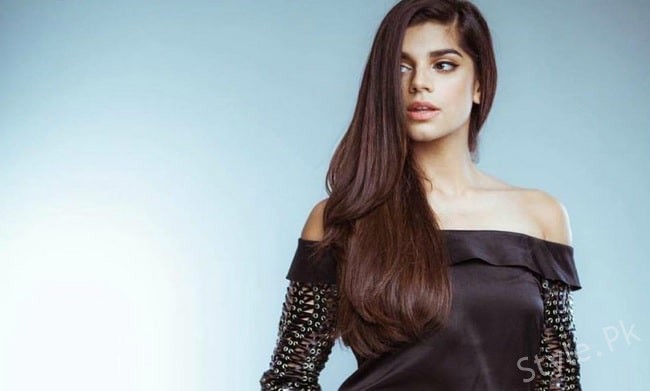 Sanam Saeed Strikes a Pose in a Black Outfit