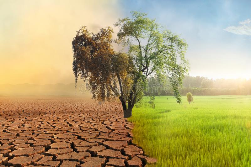 Unseen Impacts of Climate Change and How It Affects Our Lives-Social Pakora