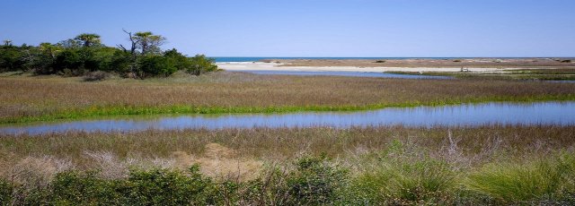 The Importance of Preserving and Restoring Wetlands-Social Palpra